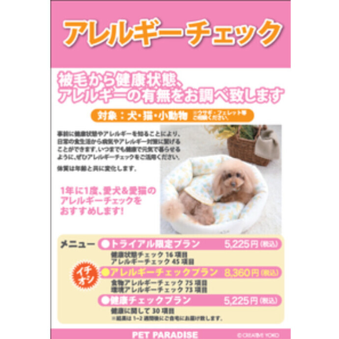 アレルギー健康チェックのご案内 ショップニュース キャナルシティオーパ