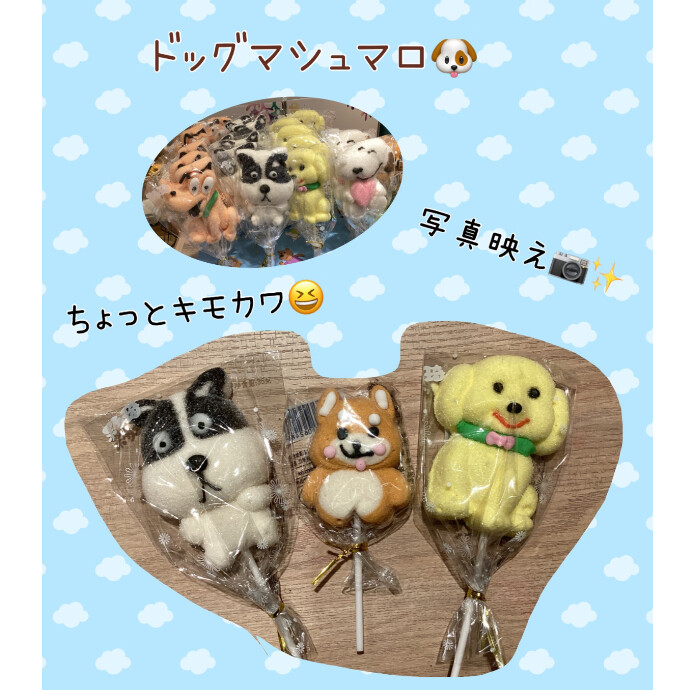 🐶ドッグマシュマロ🐾