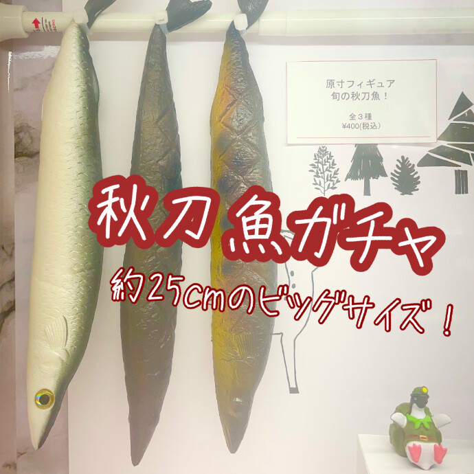 秋の味覚🍂秋刀魚ガチャ