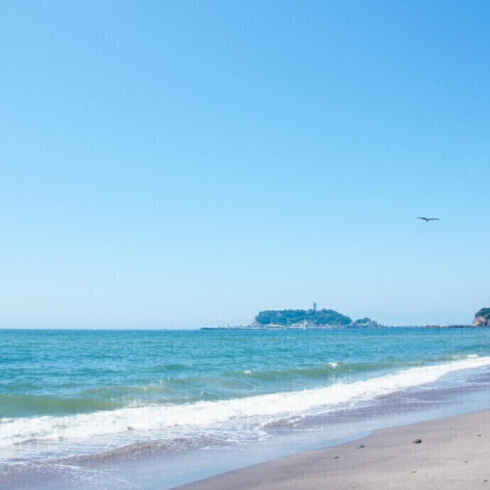 BeachCleanProject　湘南藤沢オーパ～海岸清掃
