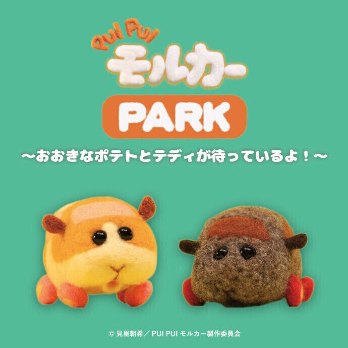 PUI PUI モルカー PARK　2025/1/2(木)