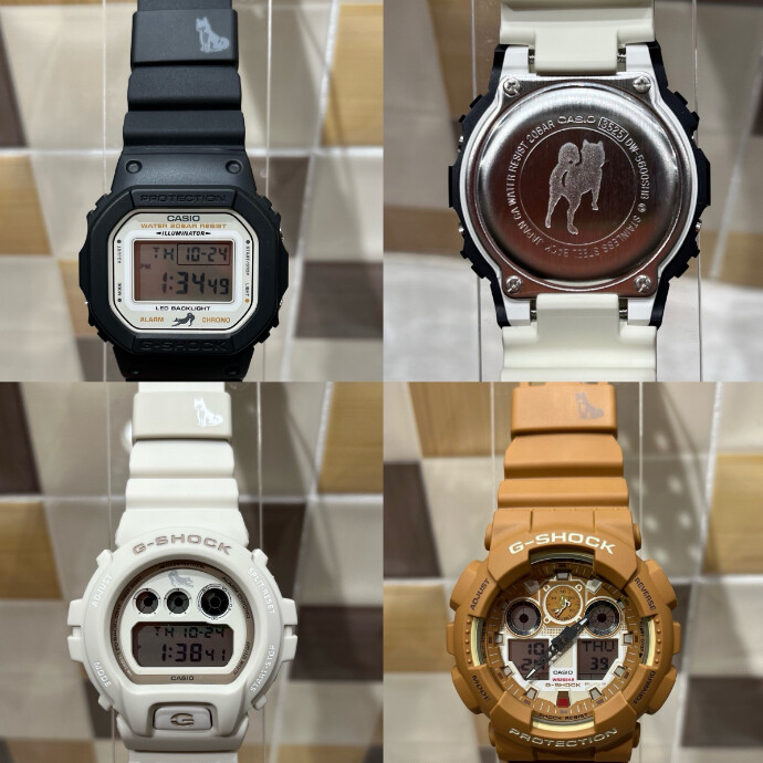 話題の柴犬モデル🐶G-SHOCK