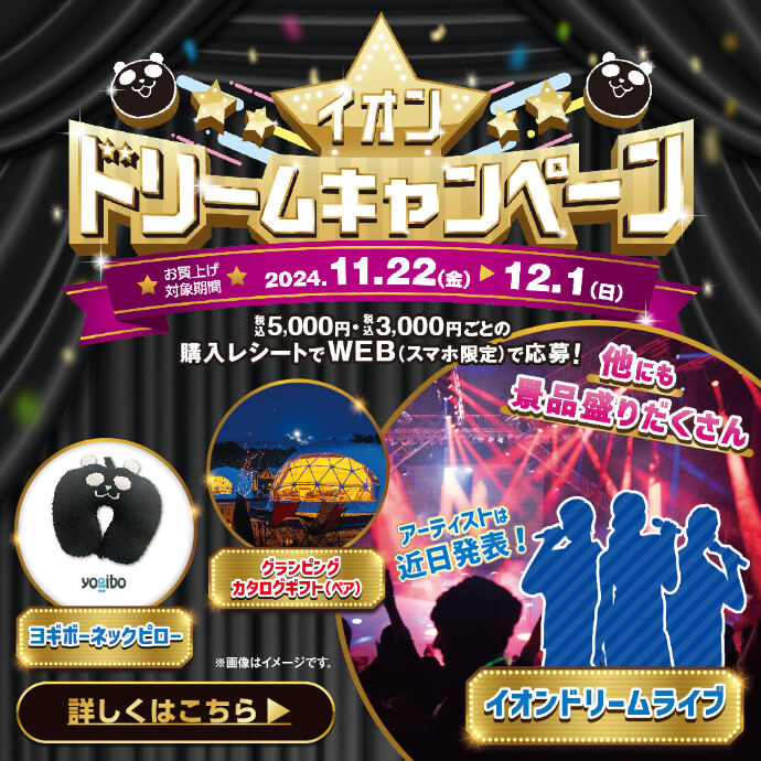 イオン ドリームキャンペーン　11/22(金)～12/1(日)