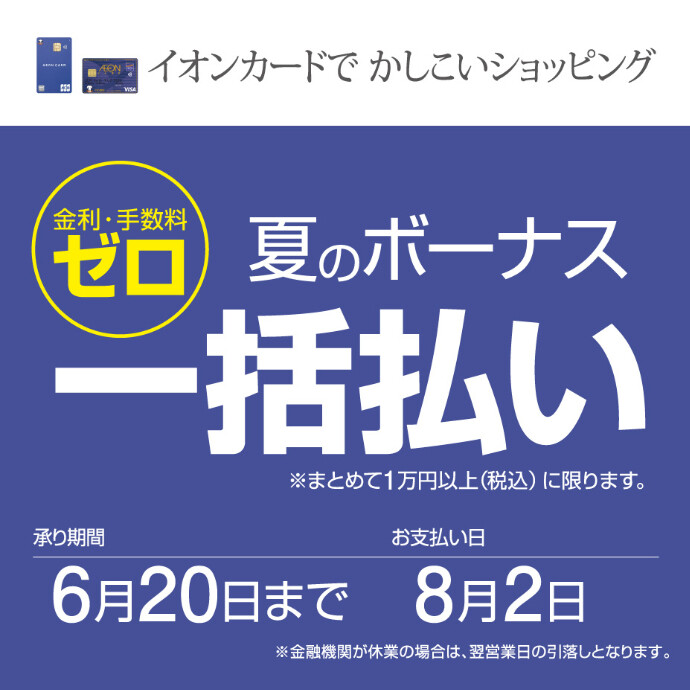 夏のボーナス一括払い（11/21～6/20）