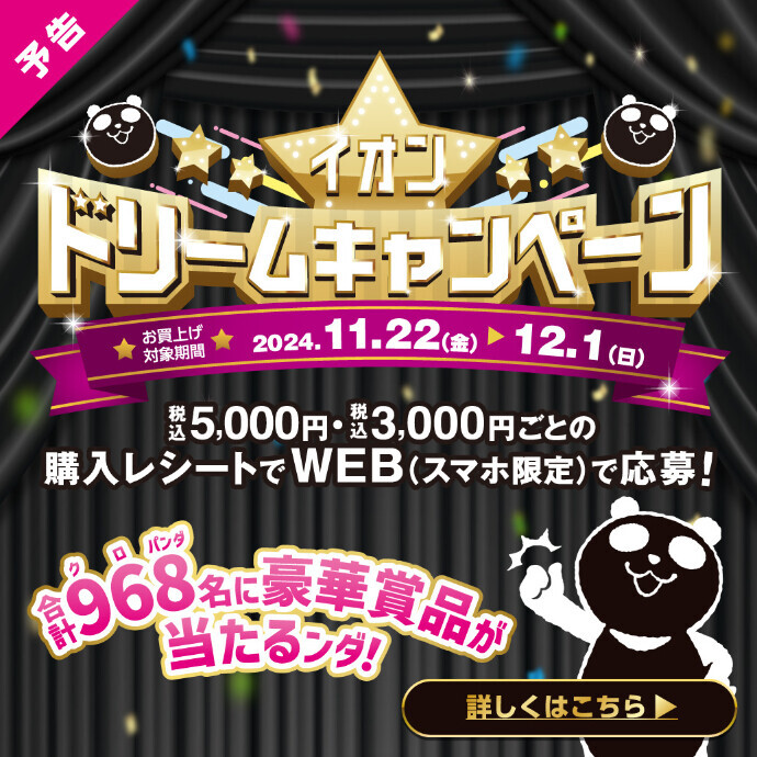 イオン ドリームキャンペーン＊11/22(金)～12/1(日)