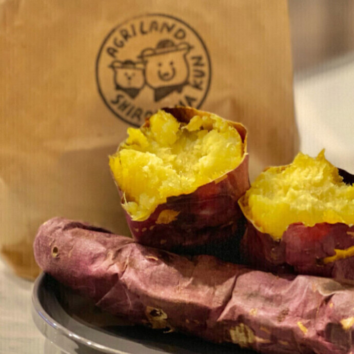 「しろくまくんの石焼いも」が秋田オーパにやってくる！