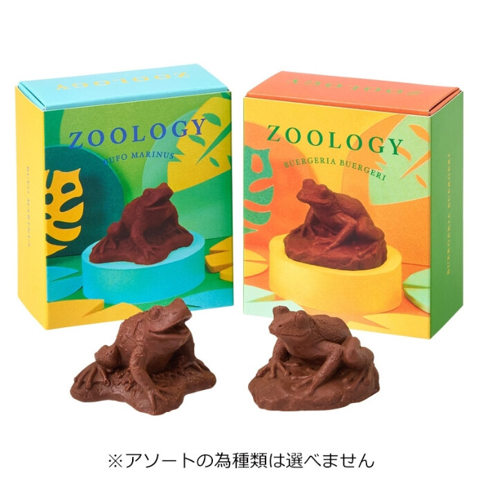 ZOOLOGY ズーロジー チョコレート カエル