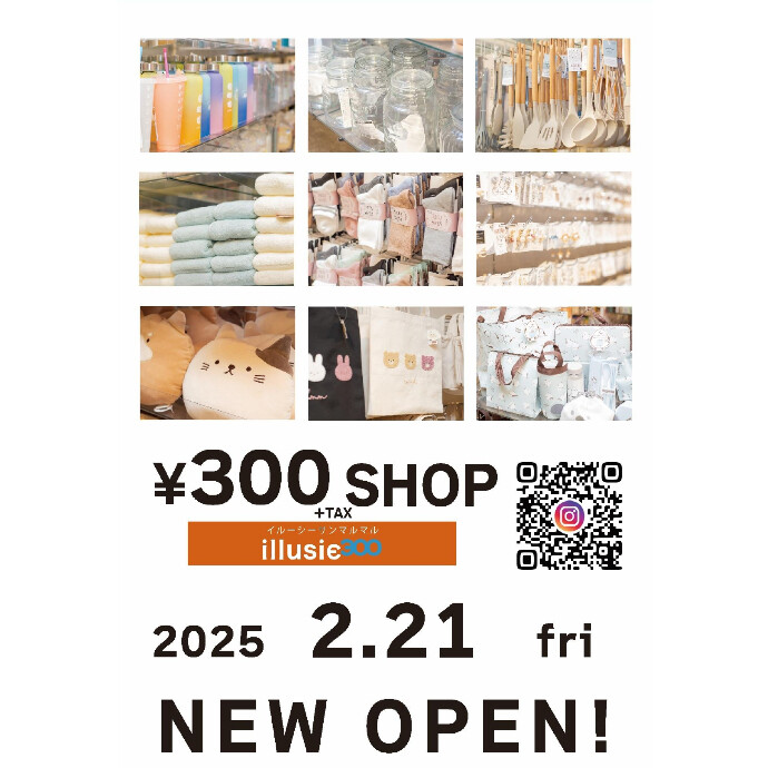 イルーシー300