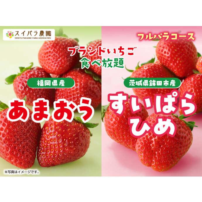「あまおうすいぱらひめ食べ放題」