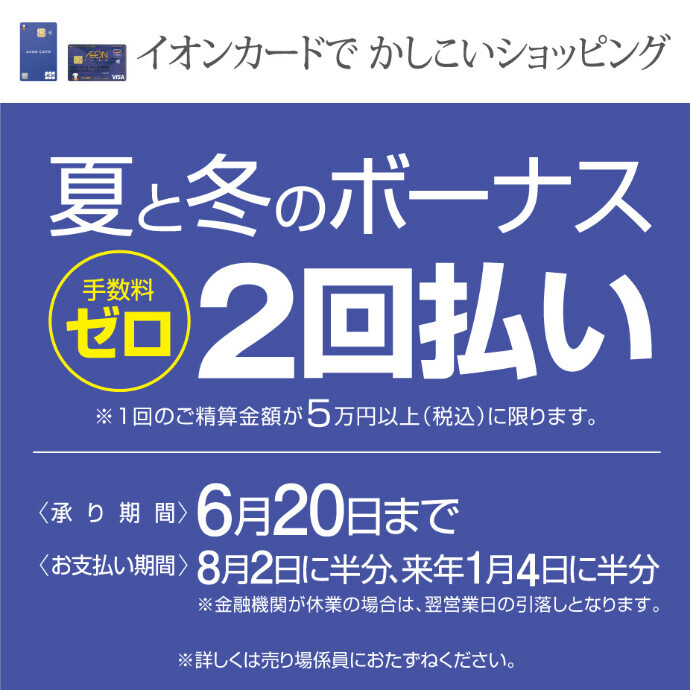 　イオンカードで夏と冬のボーナス2回払い手数料ゼロ