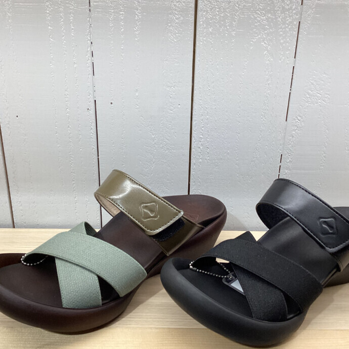 Regetta Canoe CJLW-5524a モデルが入荷致しました。