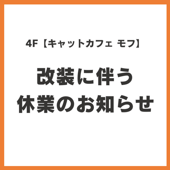 【キャットカフェ モフ】休業に関するお知らせ