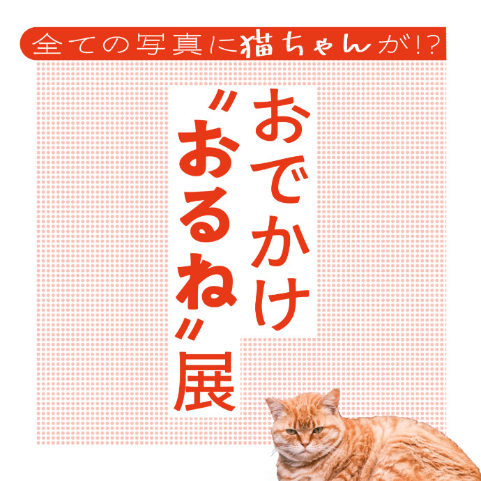 6/28(土)~7/13(日)おでかけ”おるね”展	開催！