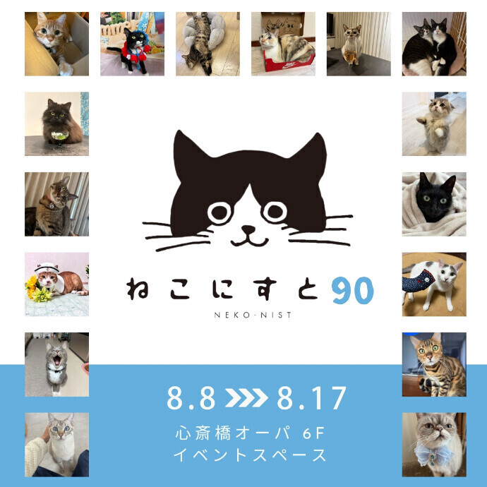ねこにすと＊8/8(金)～8/17(日)