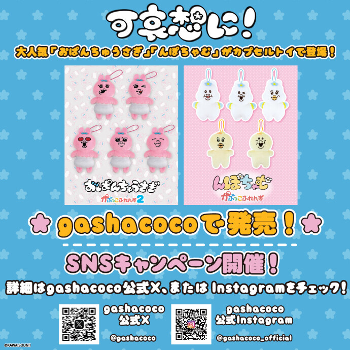 大人気 「可哀想に！シリーズ」をgashacocoで発売！
