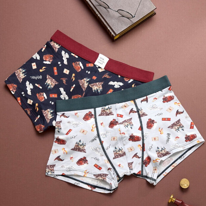 【 Harry Potter × une nana cool 】