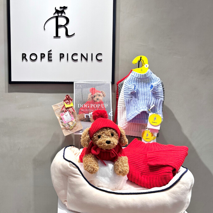 今週21日(金)からDOG POPUP 🐶✨