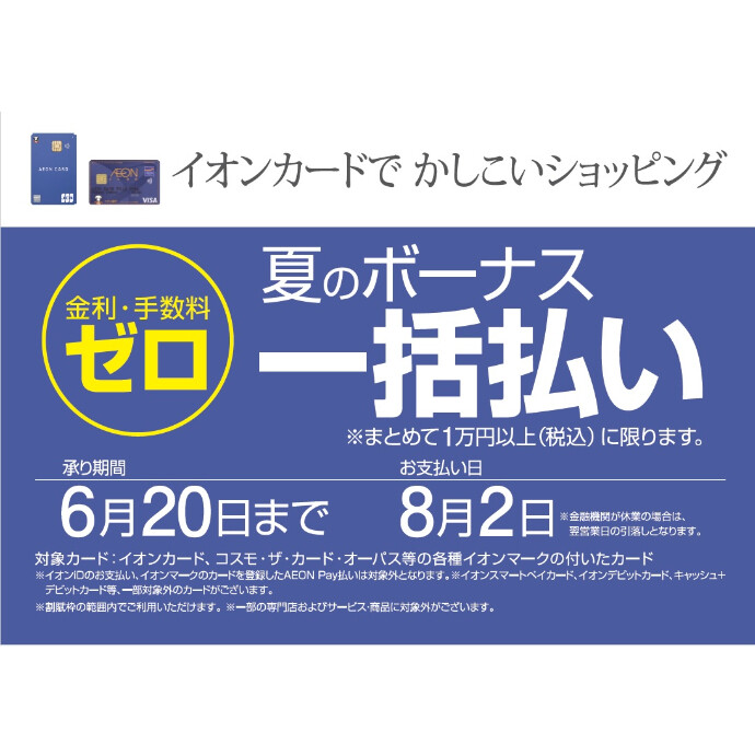 イオンカードで夏のボーナス一括払い手数料ゼロ