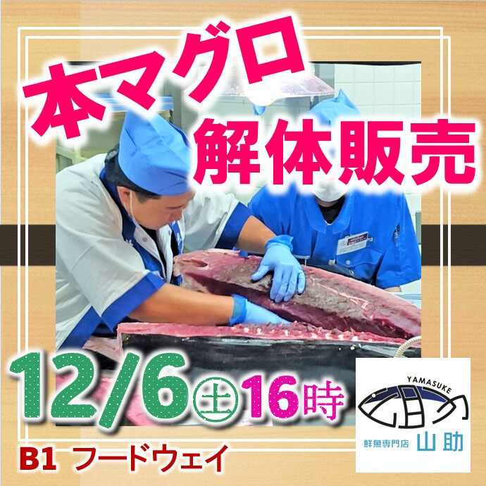 鮮魚専門店「山助」にて12/6(土)マグロ解体販売