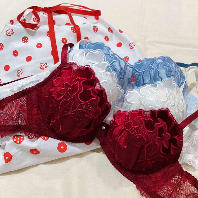 【ギフトにも🌹】ベロアのレースのクリスマスブラ