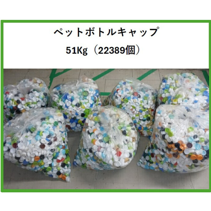 ペットボトルキャップ回収のご報告