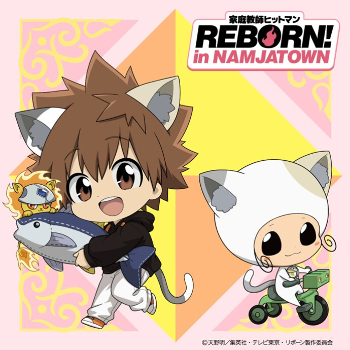 家庭教師ヒットマンREBORN! in NAMJATOWN
