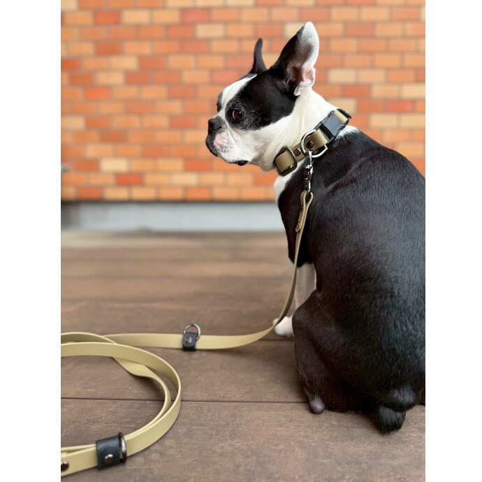 RE STOCK⚡︎  【paw's living × Paraco dog】 マルチリード/ショートリード/カラー