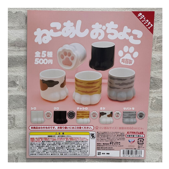 🌳入荷情報🐻