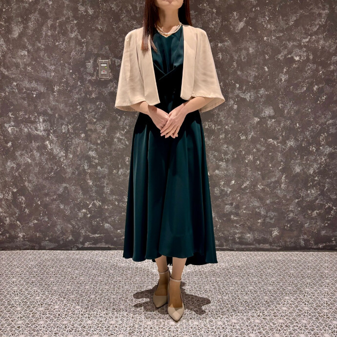 バックプリーツドレス