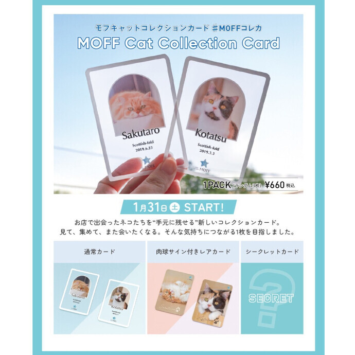 🐾グッズ販売のお知らせ🐾