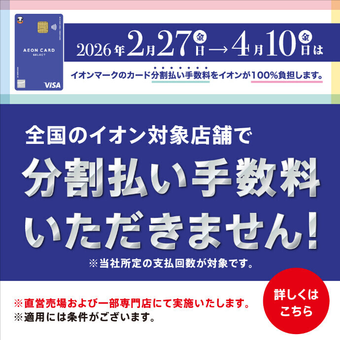イオンマークのカード 分割払い手数料ゼロ