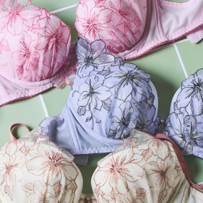 新作入荷のお知らせ