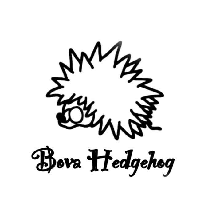 Bova Hedgehog