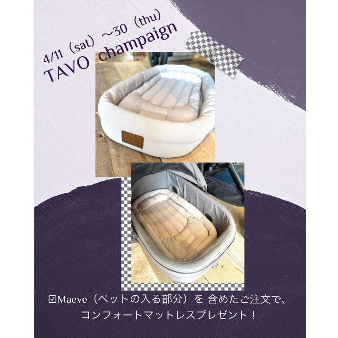 【 TAVO 】