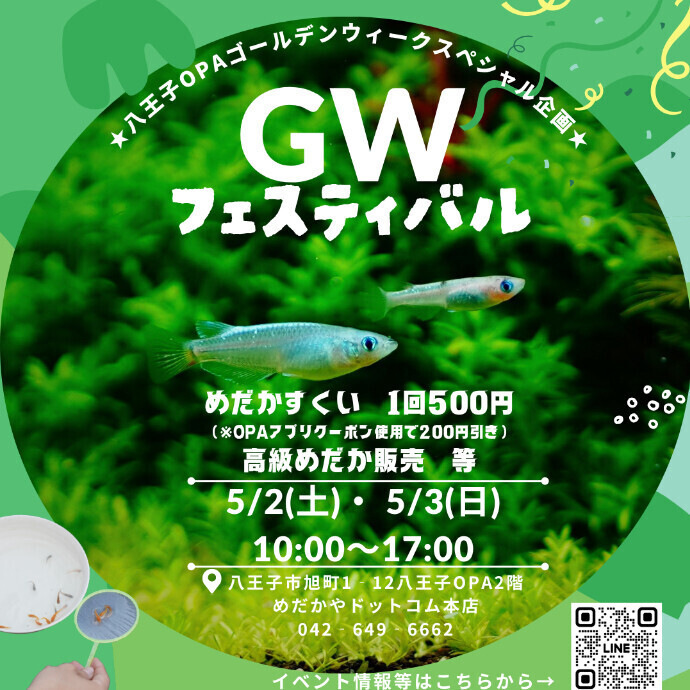 【めだかやドットコム本店 GWフェスティバル5.2(土)～5.3(日)】めだかすくい