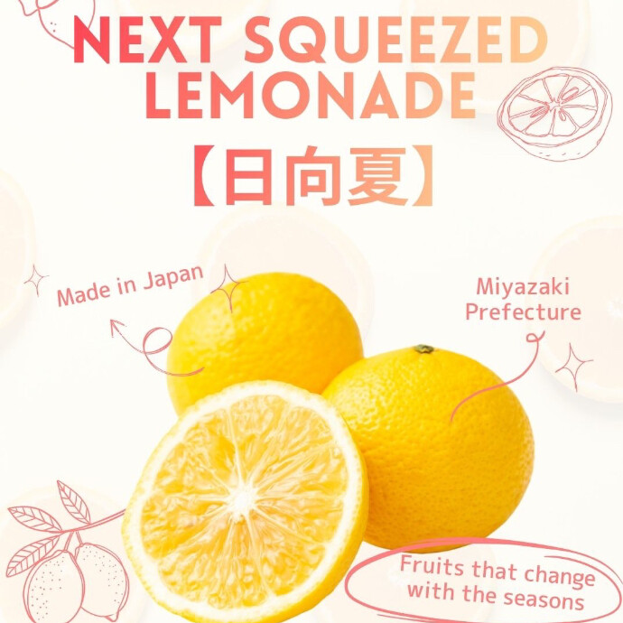 新商品のお知らせ🍊🍋