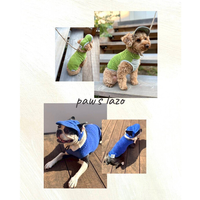 PICK UP ITEM ！