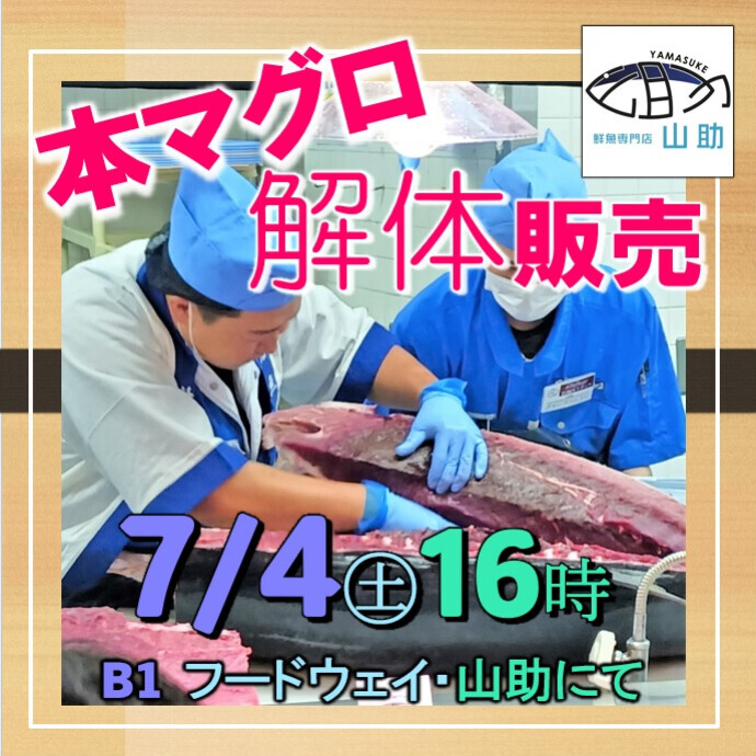 本マグロ解体販売ショー☆7月4日(土)16時から開催