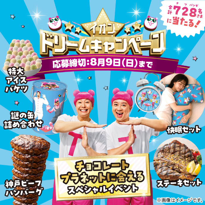 イオン ドリームキャンペーン