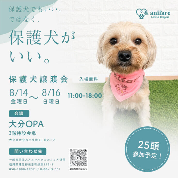 保護犬譲渡会　8/14～8/16