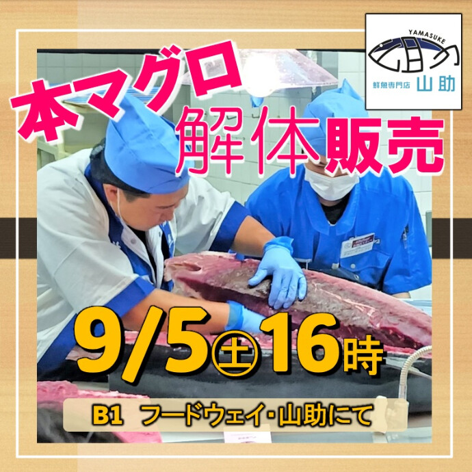本マグロ解体販売🌕9月5日(土)16時から開催
