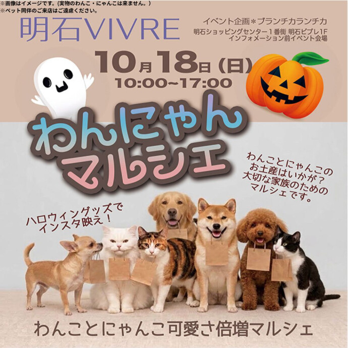 10月18日(日) わんにゃんマルシェ！開催！