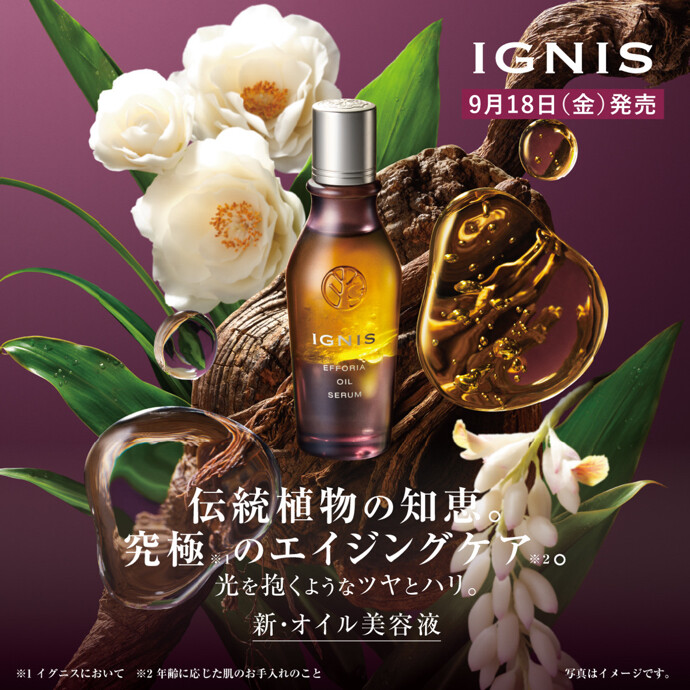 🌿🤎新✨オイル状美容液🤎🌿