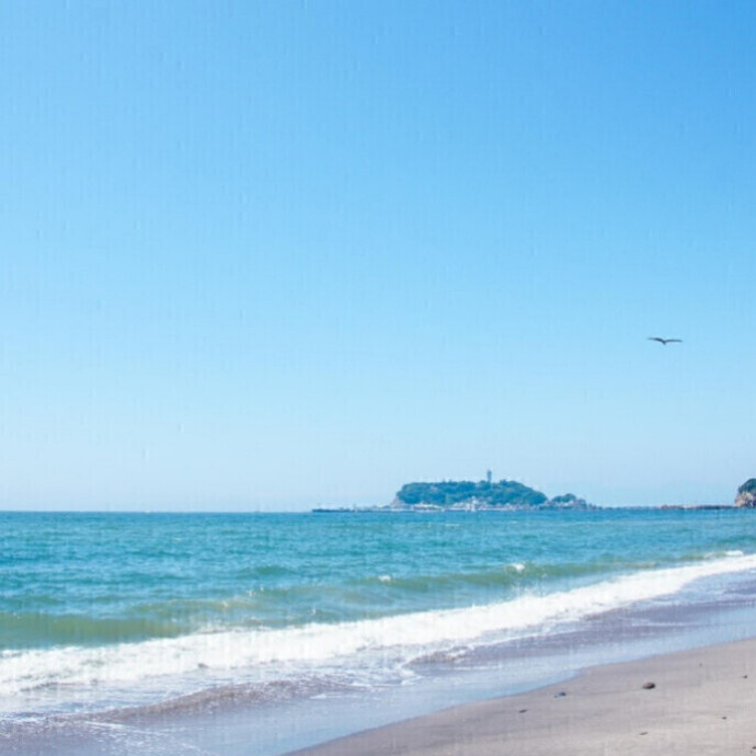 【実施】　ビーチクリーン・プロジェクト🏖️海岸清掃ボランティア募集