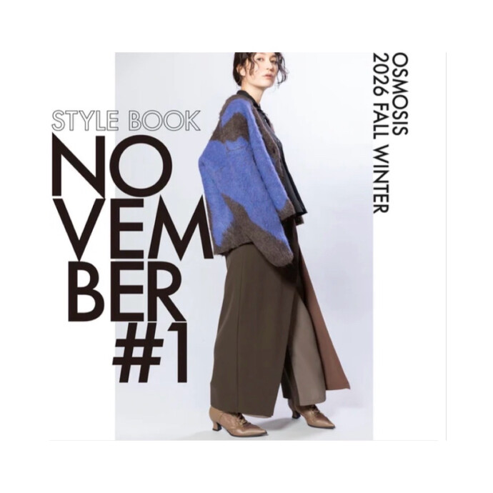 STYLE BOOK NOVEMBER #1