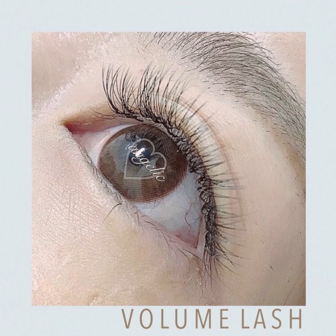 柔らか ボリュームラッシュ300本 100束 ショップニュース 新百合丘オーパ