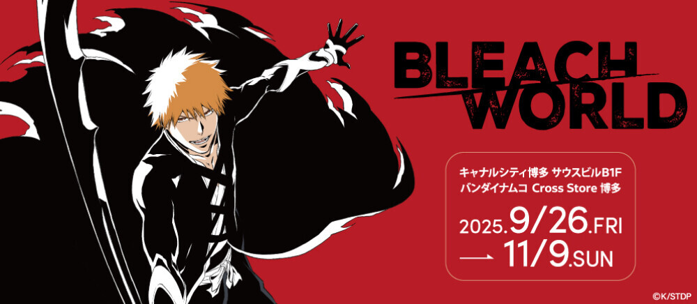 BLEACH WORLD