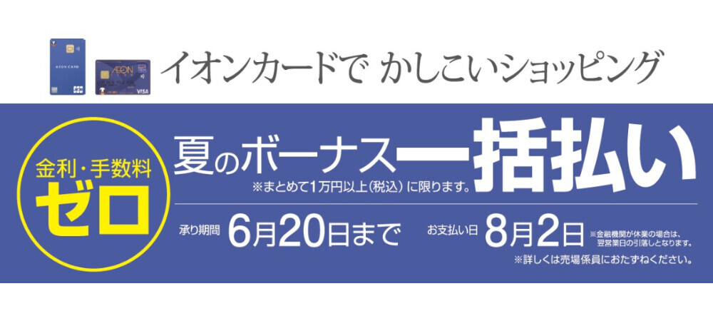 夏のボーナス一括払い
