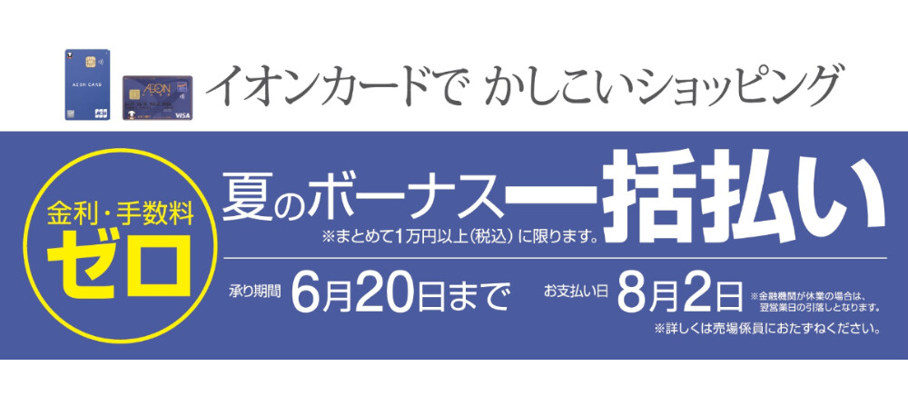 夏のボーナス一括払い