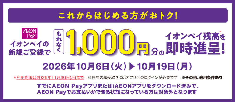 イオンペイ1000円